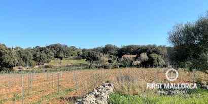 Inmobiliaria picture 12 Ref. Nº. 73783