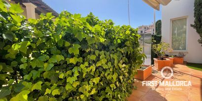 Real Estates picture 7 Ref. 61480