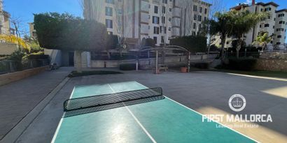 Real Estates picture 12 Ref. R19722