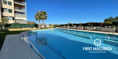 Real Estates picture 0 Ref. R19722