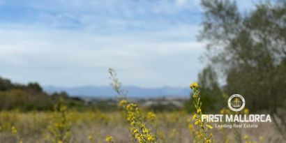 Inmobiliaria picture 1 Ref. Nº. 72682