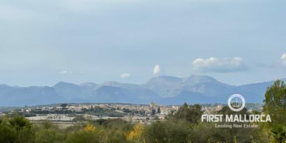 Inmobiliaria picture 0 Ref. Nº. 72682