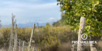 Inmobiliaria picture 3 Ref. Nº. 72682