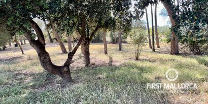 Inmobiliaria picture 29 Ref. Nº. 74279