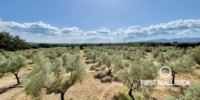 Inmobiliaria picture 31 Ref. Nº. 74279