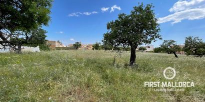 Inmobiliaria picture 1 Ref. Nº. 74272