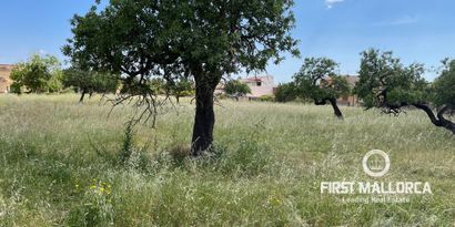 Inmobiliaria picture 2 Ref. Nº. 74272