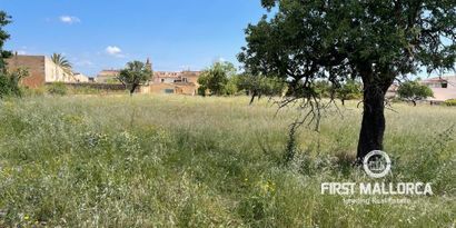 Inmobiliaria picture 0 Ref. Nº. 74272