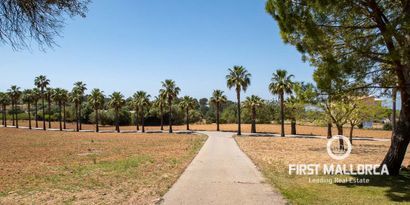 Real Estates picture 21 Ref. 74024