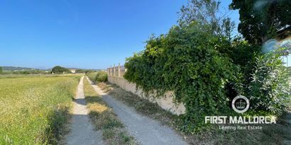 Real Estates picture 9 Ref. Nr. 74305