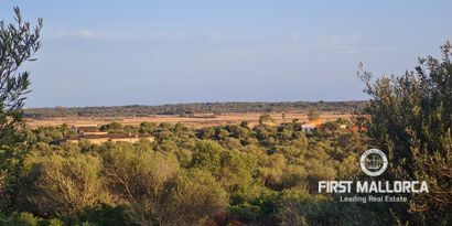 Immobilien picture 0 Ref. Nr. 74655