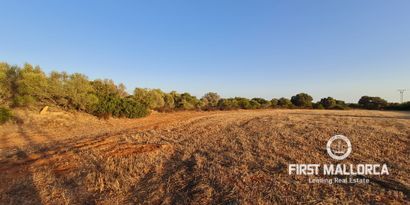 Immobilien picture 0 Ref. Nr. 74654