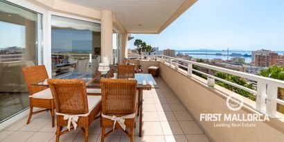 Inmobiliaria picture 1 Ref. Nº. 74786