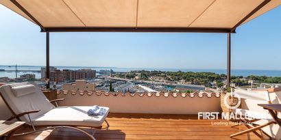 Inmobiliaria picture 0 Ref. Nº. 74786