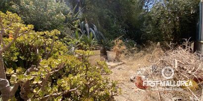 Real Estates picture 15 Ref. 74789