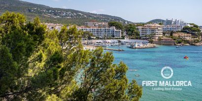 Inmobiliaria picture 0 Ref. Nº. 74782