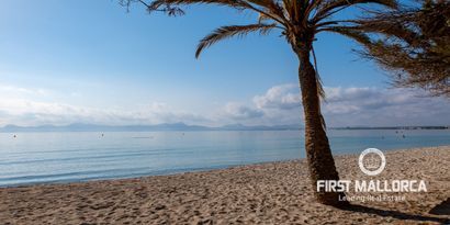 Real Estates picture 2 Ref. 74827