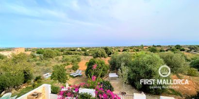 Inmobiliaria picture 16 Ref. Nº. 75386