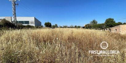 Inmobiliaria picture 1 Ref. Nº. 74476