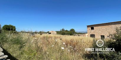 Inmobiliaria picture 6 Ref. Nº. 74476