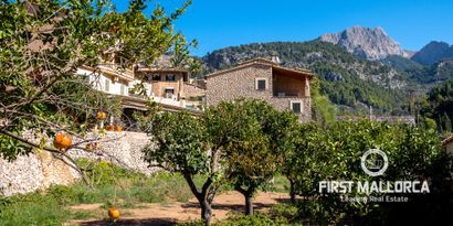 Real Estates picture 19 Ref. Nr. 70802