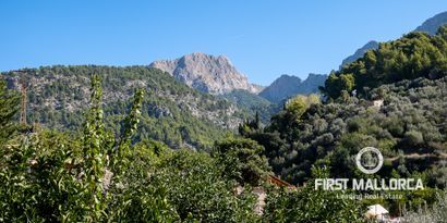 Real Estates picture 15 Ref. Nr. 69035