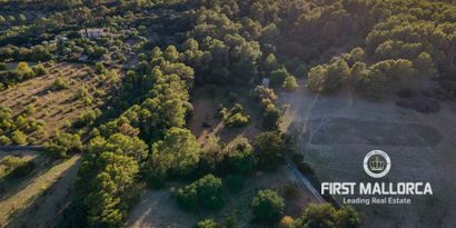 Inmobiliaria picture 10 Ref. Nº. 75459