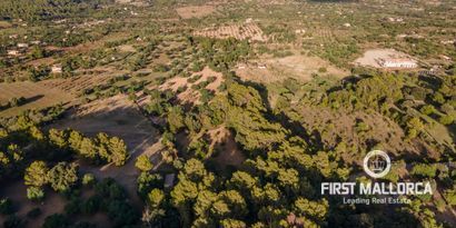 Inmobiliaria picture 11 Ref. Nº. 75459