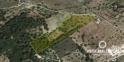 Inmobiliaria picture 13 Ref. Nº. 75459