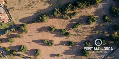 Inmobiliaria picture 12 Ref. Nº. 75459