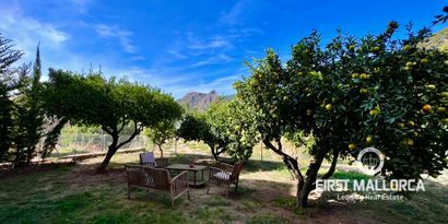Immobilien picture 4 Ref. Nr. 75536