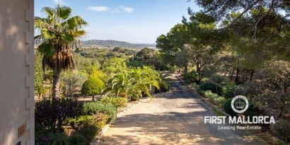 Inmobiliaria picture 2 Ref. Nº. 74803