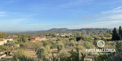 Inmobiliaria picture 5 Ref. Nº. 73417