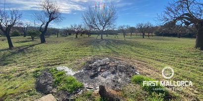 Inmobiliaria picture 1 Ref. Nº. 75600