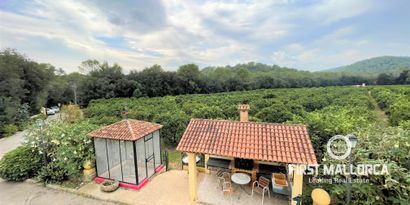 Inmobiliaria picture 1 Ref. Nº. 75592