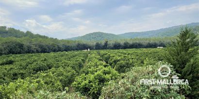 Inmobiliaria picture 16 Ref. Nº. 75592