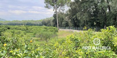 Inmobiliaria picture 21 Ref. Nº. 75592