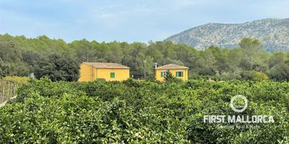 Inmobiliaria picture 20 Ref. Nº. 75592