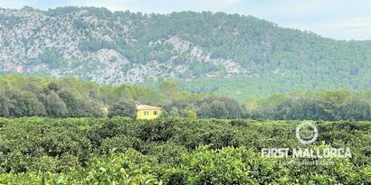 Inmobiliaria picture 22 Ref. Nº. 75592