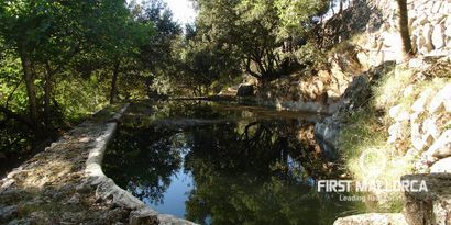 Inmobiliaria picture 7 Ref. Nº. 72737