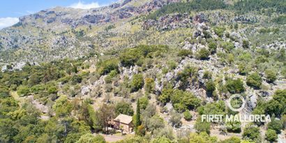 Real Estates picture 8 Ref. Nr. 68424