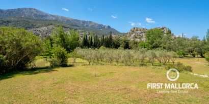 Real Estates picture 39 Ref. Nr. 68424