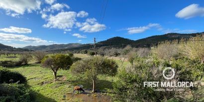 Недвижимость picture 1 Ref 75799