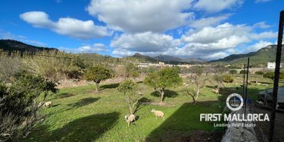 Недвижимость picture 5 Ref 75799