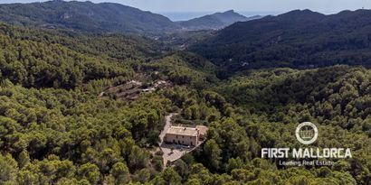 Real Estates picture 0 Ref. 76083