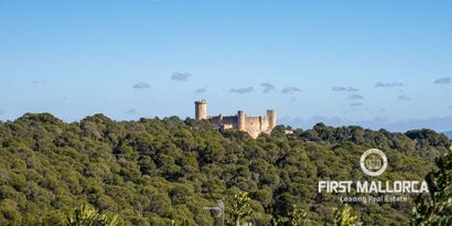 Real Estates picture 11 Ref. Nr. 78587