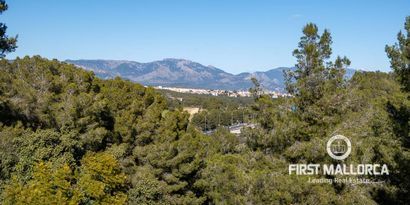 Real Estates picture 43 Ref. Nr. 78587