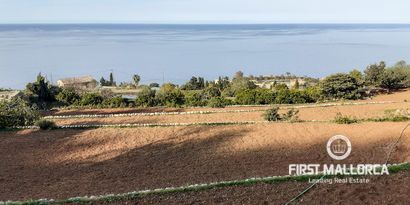 Real Estates picture 13 Ref. 70011