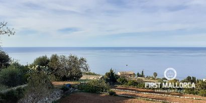 Real Estates picture 6 Ref. 70011