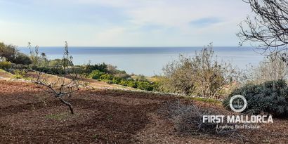 Real Estates picture 9 Ref. 70011